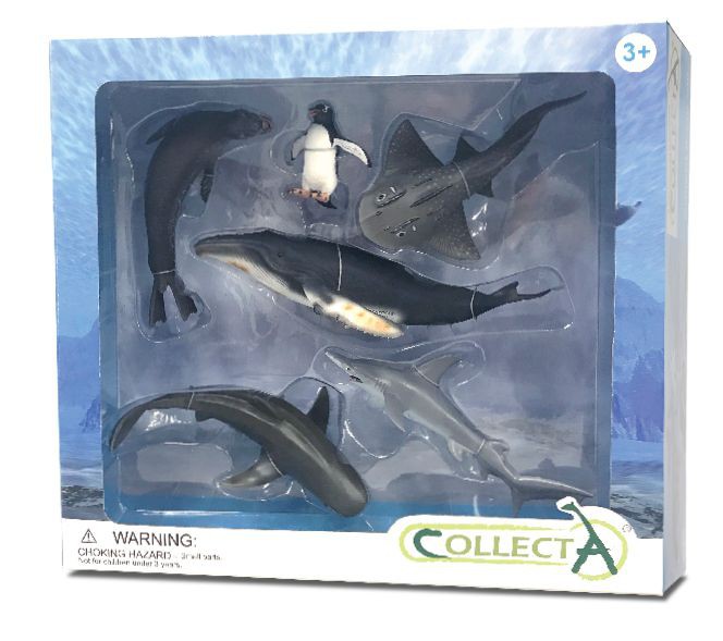 Set 6 figurine Viata Marina – Collecta Set 6 figurine Viata Marina – Collecta